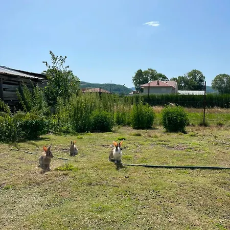 Family-friendly Prázdninový dům Pogradec